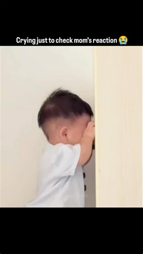 MiniMemeLab on Instagram: "Crying PR stunt for more snacks 😭🍪 Follow us @minimemelab for more funny reels #funnybaby #babyvideos #parentinghumor #cutebabies #funnymemes #reelitfeelit #babyreels #relatablemoments #lolmoments #explorepage #trendingreels #comedyreels😜😜 #fyp #explorepage #funnymemes"