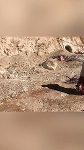 4.8M views · 10K reactions | ⚠️⚠️DIOS MI SANTÍSIMO ¿QUÉ ES ESO? 勞 #ovnis #misterio #viral #labiblia #xfiles #catolicos #sagradasescrituras #eclipse #leyendas | Danny Oñate | Facebook