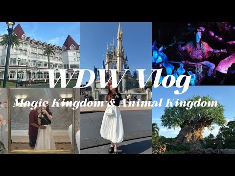 【フロリダディズニーVlog 前編(Magic Kingdom & Animal Kingdom)】 大学生カップルが行く10日間のアメリカ旅行🇺🇸✨️