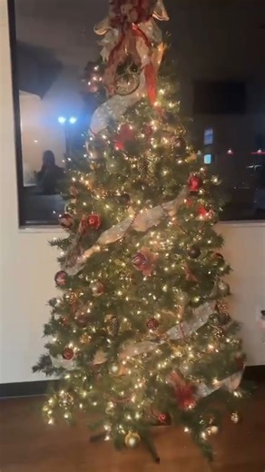 Our office is officially in holiday mode 🎄✨ Come visit & enjoy the vibes (and a brighter smile 😉) Call 417-289-0000 to schedule today! ❤ #celebratedental #springfielddentist #Springfieldmo | Celebrate Dental - Springfield