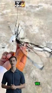 The Butterfly Drone: A New Era of Spy Technology