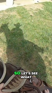 26K views · 151 reactions | Learn how to develop patience in your...