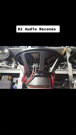 B2 Audio Subwoofer Recones and Performance Insights
