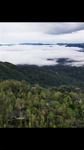 Where the day drifts between mist and stillness, and clouds linger just long enough to touch the hills. ☁️ From quiet mornings wrapped in haze to evenings where the sky dissolves into the Ghats — every frame feels like a gentle pause. Here, comfort meets calm, and nature writes the story of your stay. 🌿 📍 Trivik Resorts, Chikmagalur | 5,400 ft above sea level 📞 Reserve your stay: 9900448188 #TrivikResorts #Chikmagalur #WesternGhats #MistyHills #HilltopRetreat #TrivikMoments #NatureStay #Seren