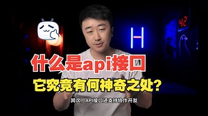 什么是api接口，它究竟有何神奇之处？