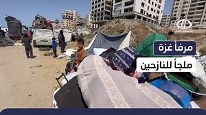 19 reactions | من مرفأٍ للصيد إلى ملاذٍ للنزوح .. مراسل فلسطين اليوم...