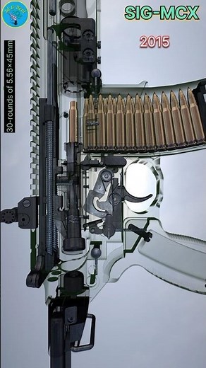 robust and precise gun