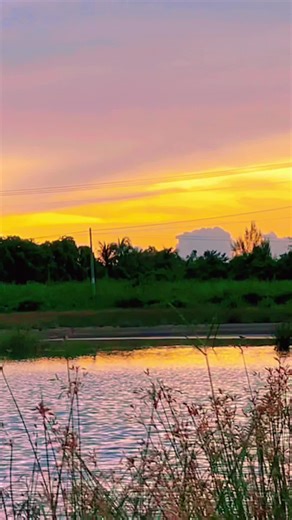 Có ai quay zề :((