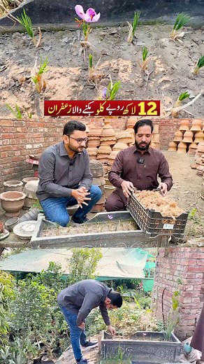This Vedio is only related to Share knowledge about zafran Farming. Disclaimer:‎یہ ویڈیو صرف معلوماتی اور تعلیمی مقصد کے لیے بنائی گئی ہے۔ یہ کوئی فوراً امیر ہونے والا نسخہ یا “گارنٹیڈ کامیابی” کا وعدہ نہیں کرتی ہر کاروبار کے نتائج مختلف ہو سکتے ہیں اور ان کا دارومدار محنت، تجربے، حالات اور مستقل مزاجی پر ہوتا ہے۔ اس ویڈیو میں جو آئیڈیا پیش کیا گیا ہے، وہ صرف ایک تجویز ہے۔ کسی بھی فیصلہ سے پہلے اپنی تحقیق ضرور کریں اور سوچ سمجھ کر قدم اٹھائیں۔‏This video is for informational and educational purp