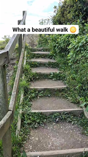4.8K views · 100 reactions | The coastal path to St Mary's Bay, Brixham. | We Are South Devon | Facebook