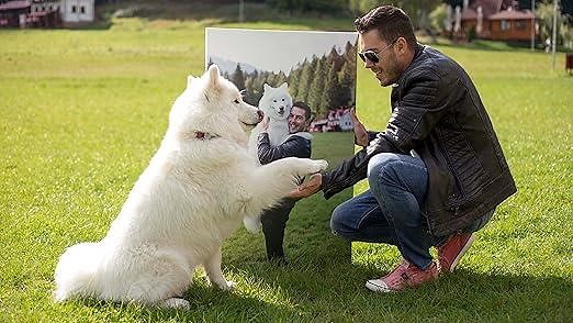 095fae212b1d435f8499a0943b5b9e7d