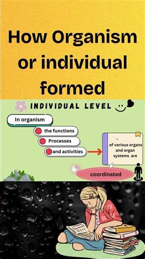 How organism or individual formed