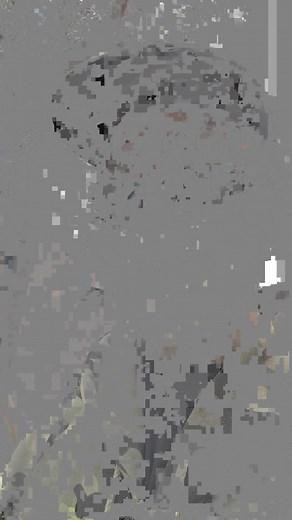 팬 미팅 QnA #틱톡순삭별들의미션 #김모이