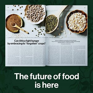 Get a little food for thought with our November/December issue, where we investigate technology’s impact on our food. | MIT Technology Review