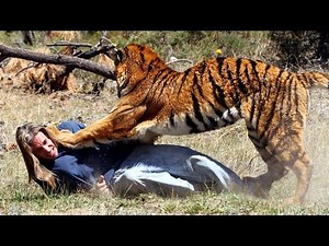 Top 7 : Horrifying stories of wild animals kept as pets who attacked and killed their owner