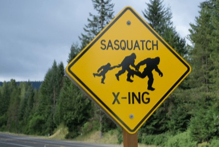 ‘Very credible’ Bigfoot sighting reported in Central Pennsylvania, researcher said