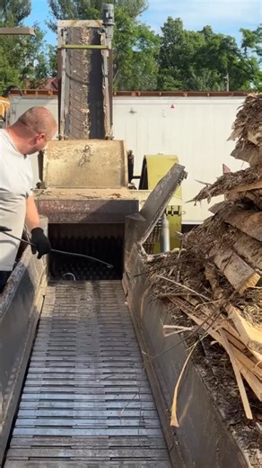 Watch how raw timber is processed in real time using a professional industrial wood chipper at an active sawmill. This video shows the complete workflow from start to finish — logs being positioned and fed into the machine, the powerful intake system pulling the wood inside, and the cutting blades shredding it into clean wood chips and fine sawdust. There is no voiceover or background music, only the natural industrial ASMR sound of heavy machinery working continuously. This type of realistic fa