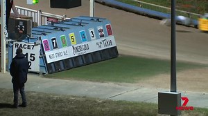 Greyhound racing heavyweights claim a successful Launceston Cup shows the industry can stand on its own merits. As a review of legislation banning the sport approaches – insiders say the phase-out is anything but a foregone conclusion. #7NEWSTas | LIVE AT 6PM | 7NEWS Tasmania