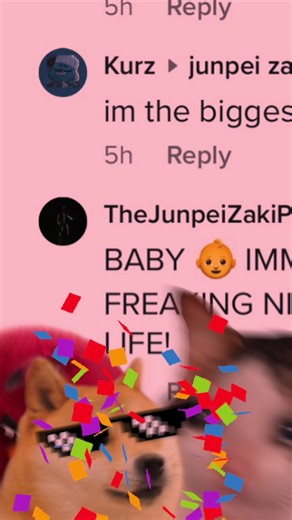 Biggest Cat Meowing Compilation | Funny Animal Videos