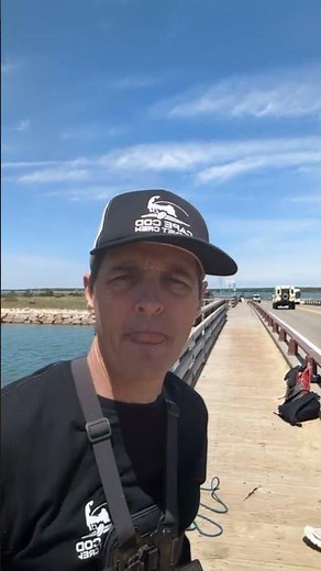 Live highlight from the JAWS Bridge in Martha's Vineyard