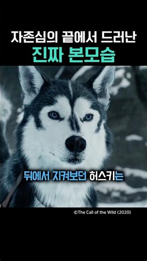 자존심의 끝에서 드러난 진짜 본모습