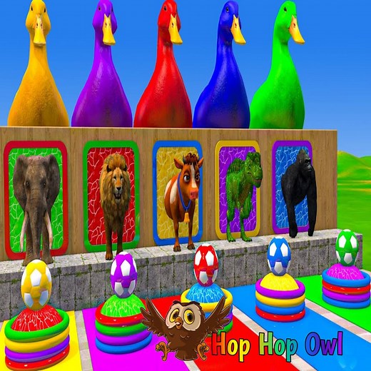 21K views · 216 reactions | Learn Colors for Babies with Long Slide Games with Ducks, Chickens, Cats, Elephants, Gorillas, Buffaloes, Hippos, and Tigers | Hop Owl Children's Songs黎 Children's Videos | Children's Cartoons | Education For Kids . . . . . canciones infantiles dibujos animados para niños aprender colores #kids #leararncolors #song #fyp #reels | Hop Hop the Owl - Learn Colors - Nursery Rhymes | Facebook