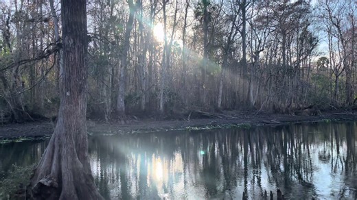 Exploring Ocklawaha River and Silver Springs