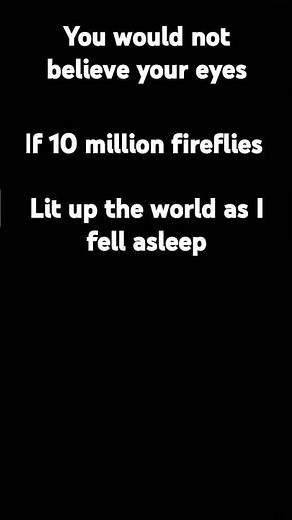 Fireflies Song Lyrics 🎵