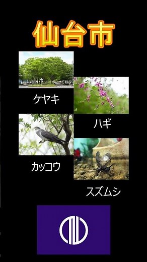 日本の市町村紹介～宮城県仙台市～ #宮城県 #宮城 #歴史 #宮城旅行 #仙台市 #仙台 #牛たん #牛タン
