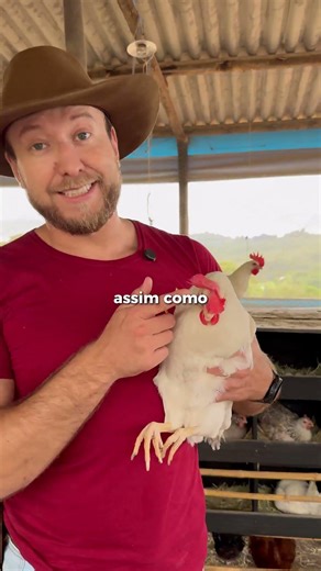 Sabe Pra Que Serve A Barbela Da Galinha?