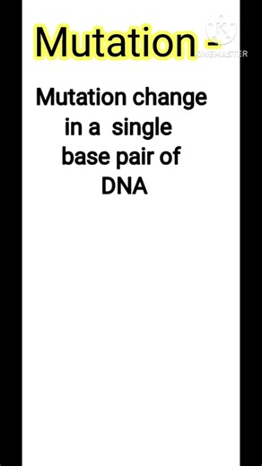 Mutation & Types Of Mutation | Mutation | Class 12 Genetics #shorts #neet #viral #2026 #cbse