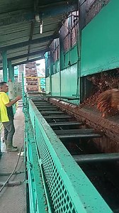Operator loading ramp di pabrik kelapa sawit,membuka pintu loading ramp untuk memasukkan buah kelapa sawit ke scraper ffb loading ramp untuk dikirim bejana rebusan vertikal. • • • #Fyp_Jangkauan #Fyp_Tayangan #Fbpro #Monetisasi | Ruliadi Saragih