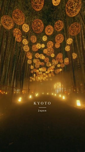 🎋 Arashiyama Bamboo Grove – Kyoto’s Enchanted Pathway 🌿✨ Step into the whispering forest of Arashiyama, where endless bamboo stalks sway gently in the Kyoto breeze. A walk here feels like entering another world — calm, timeless, and utterly magical. 🍃 📍Arashiyama Bamboo Grove, Kyoto – Japan 🇯🇵 📸 https://www.instagram.com/japan_ichiban_tours/ ✉️ japanichibantours@gmail.com | info@japanichibantours.com 🌐 https://japanichibantours.com | Japan Ichiban Tours