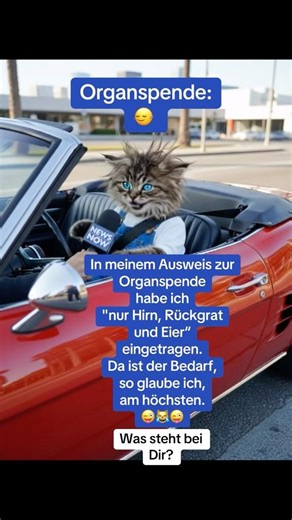 What does a man need most? 😜😹 #organdonation #interview #memes #catvideos #viralshort