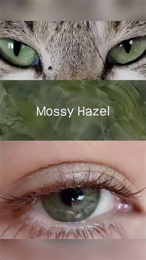 Godestar Mossy Hazel Colored Contacts | Natural Hazel Eye Look Close-Up 👀