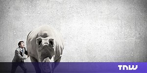 Watch: A rhino’s eye view of the fight against poaching