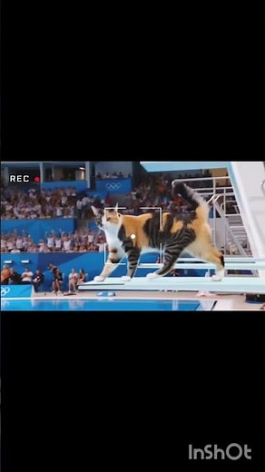 #3dcartoon #animal Olympic Games