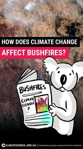 As communities in Victoria deal with bushfires ravaging their homes, farms and towns, it's important to remember how climate pollution is turbo-charging dangerous fire conditions. Rotate your phone to find out why we must urgently cut climate pollution from burning coal, oil and gas to help keep communities around Australia safer. Illustrations by @jessharwoodart