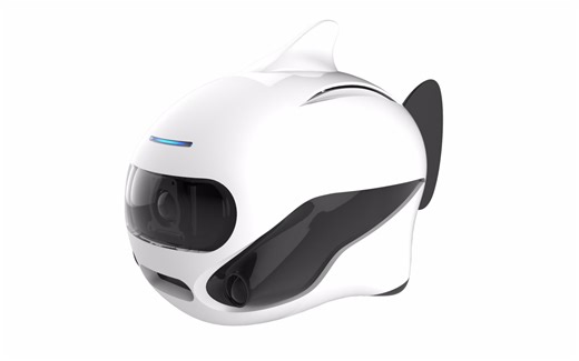 【说明】+BIKI快速入门+RoboSea