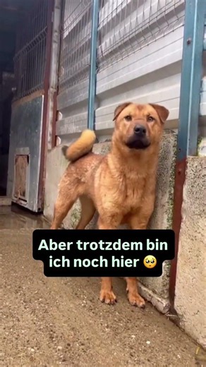 Gerettet... und trotzdem wartet niemand auf mich😥