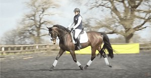 Dressage to music – Prelim level