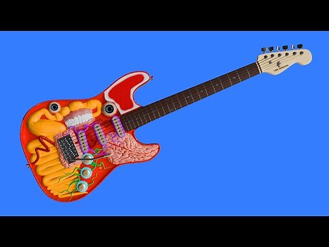 How a Guitar works
