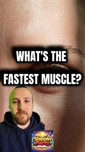 Your Eyes Blink Faster Than a Hummingbird Flaps?! 👁️ #HumanBody #FastestBlink #WeirdScience