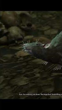 Baldur's Gate 3: Finding out what's the deal with the rats in the Shar temple #baldursgate3