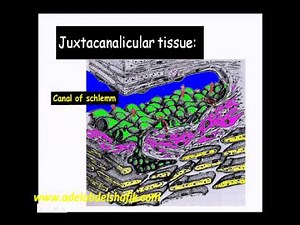 Gonioscopy Lecture Part1 • Video • MEDtube.net