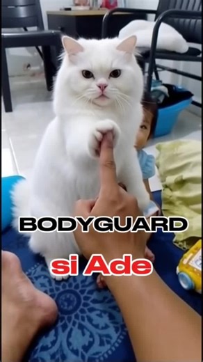 𝙧𝙖𝙠𝙖 𝙩𝙚𝙖𝙣 (@raka.tean)’s videos with suara asli - 𝙧𝙖𝙠𝙖 𝙩𝙚𝙖𝙣