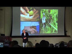 Medicine men to corner pharmacies | Amy Greeson | TEDxHighPoint