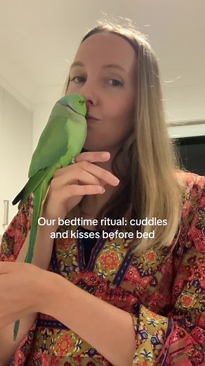 Cuddles and Kisses: A Sweet Bedtime Ritual with Vonnegut the Green Parrot