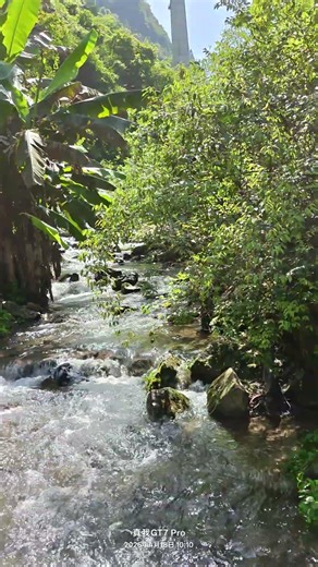 带娃 见山水 吸天地灵气 #周末好去處 #小可爱 #山泉水