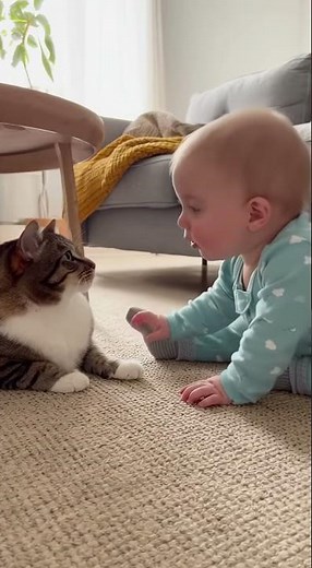 Watch this adorable cat chat with a baby! #fyp #viral #cute #babytok